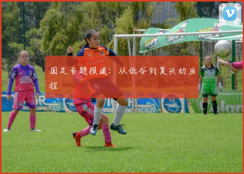 国足专题报道：从低谷到复兴的历程